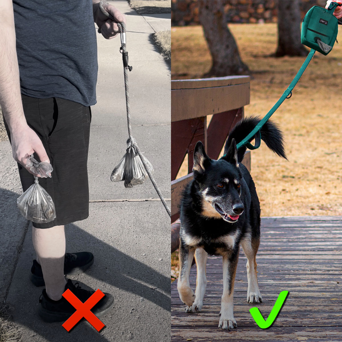 Dorg before and after comparison