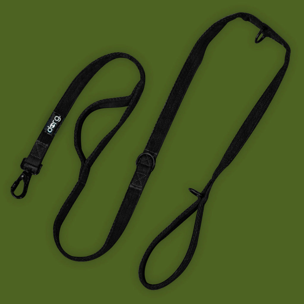 Singular dorg. Leash - no accessories