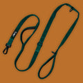 Singular dorg. Leash - no accessories